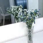 Apartmán Amalphia Salerno